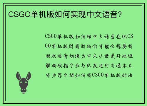 CSGO单机版如何实现中文语音？