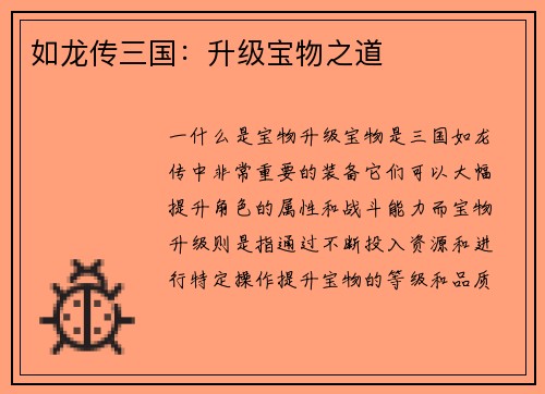 如龙传三国：升级宝物之道